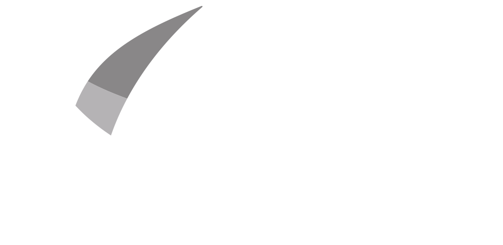 Shine Justice